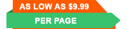 Price tag in orange and green background png