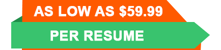 Price tag in orange and green background png